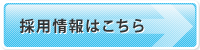 採用情報はこちらから